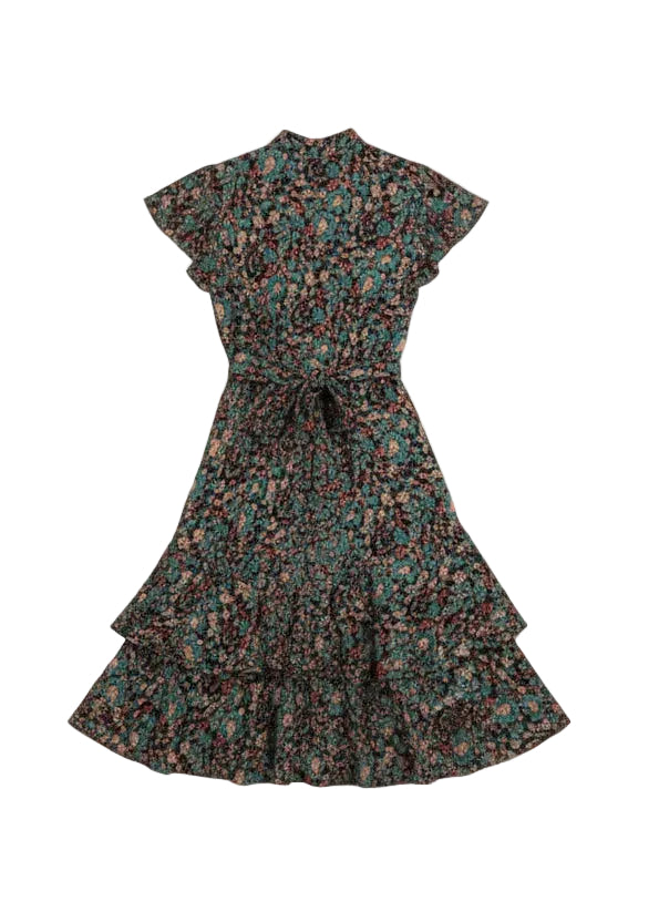 Back of Dress