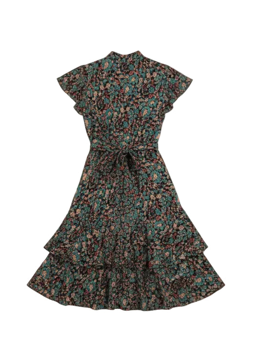 Back of Dress