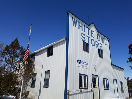 Looking back and moving forward!