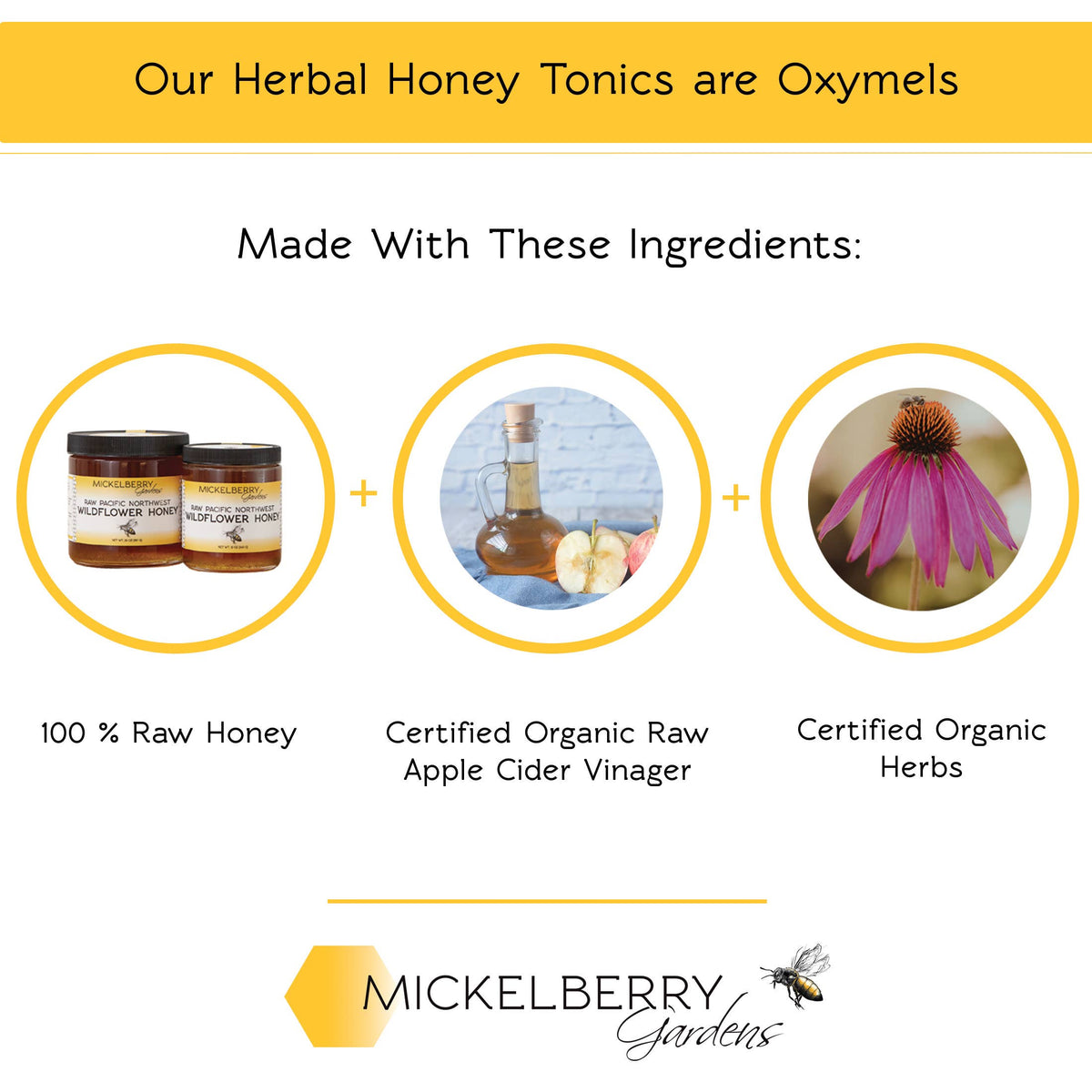 Mickelberry Gardens oxymel ingredients graphic showing raw honey, apple cider vinegar, and herbs