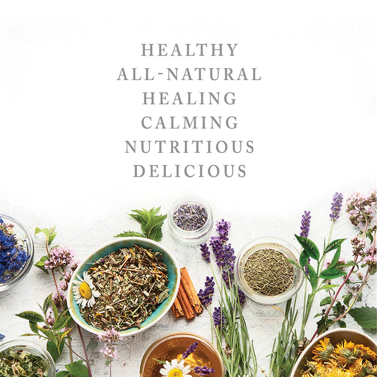 Herbal tea promotional graphic with loose herbs, flowers, and cinnamon sticks beneath wellness-themed text