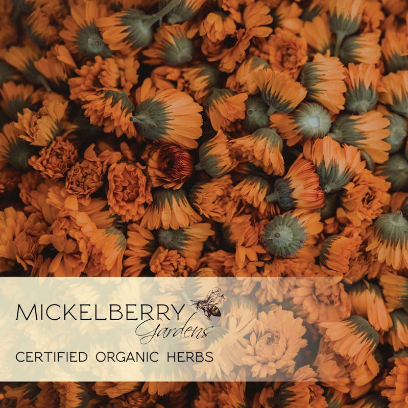 Orange calendula blossoms with Mickelberry Gardens Certified Organic Herbs message