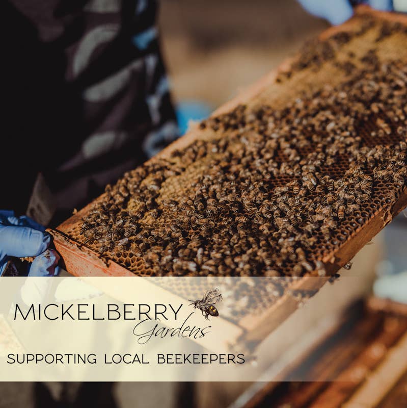 Beekeeper holding a honeycomb frame covered in bees with Mickelberry Gardens Supporting Local Beekeepers message
