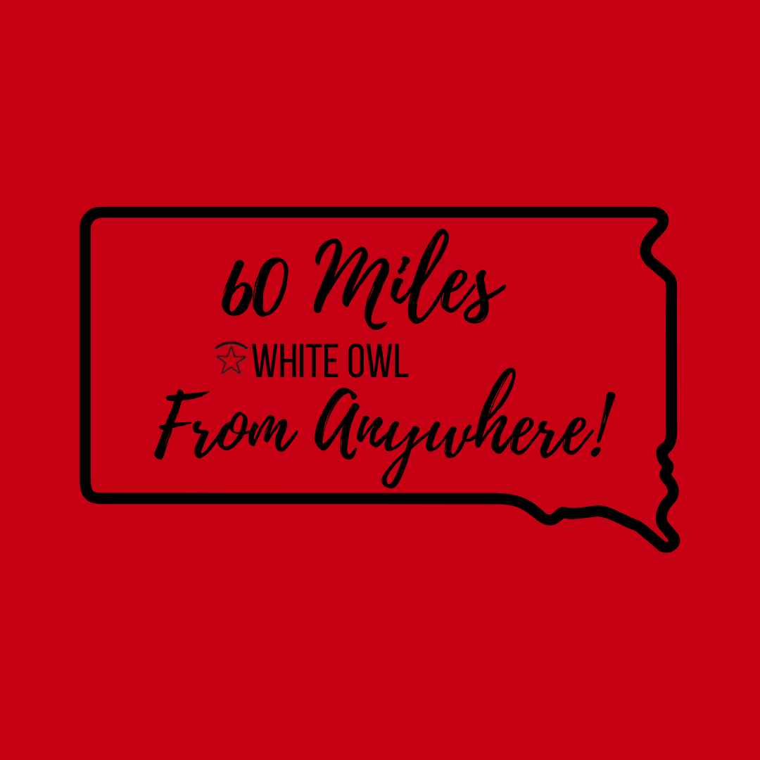 WHITE OWL TEE - White Owl Creek Boutique